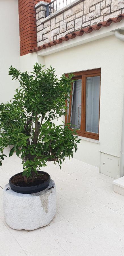 Appartement Haus Silvia à Rovinj Extérieur photo